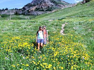 Summer on the Slopes