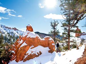 Road Trippin'  A Red Rock Winter Retreat 