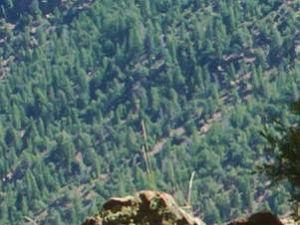 Weekend in Flaming Gorge Country