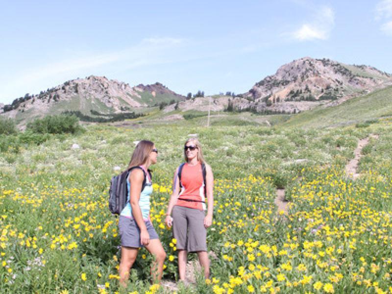 Alta - Little Cottonwood Canyon 