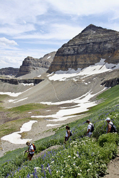 Hiking Mt. Timpanogos 
