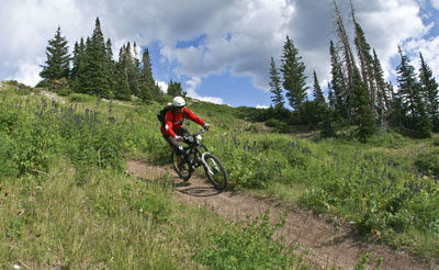 Brian Head Mountain Biking