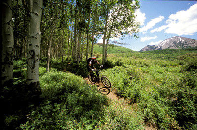 LaSal Mountains - mountain biking
