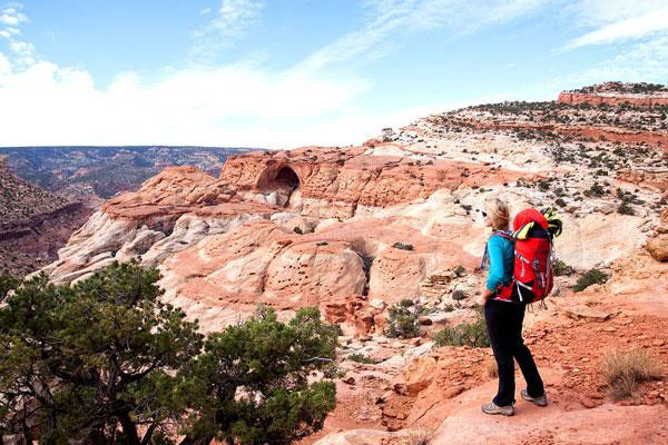 Capitol Reef National Park