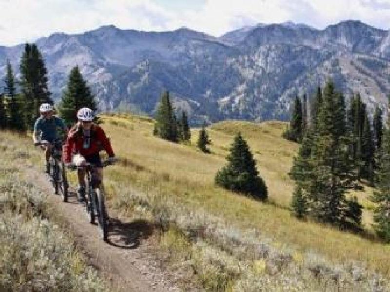 The Wasatch Crest Trail