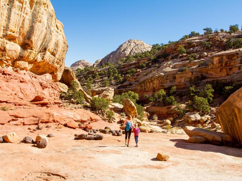 Cohab Canyon - Capitol Reef 