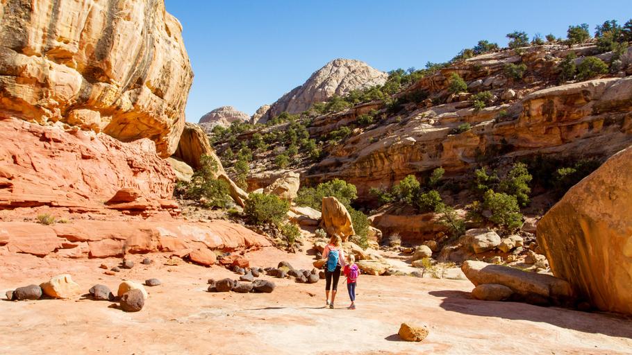 Cohab Canyon - Capitol Reef NP 