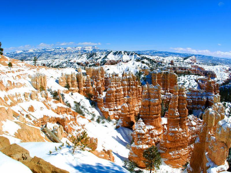 Winter in Bryce 