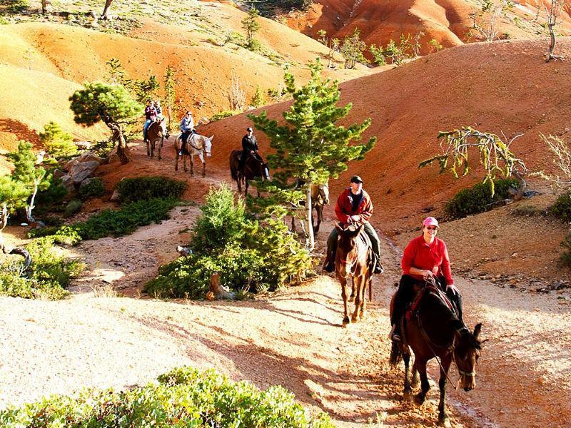 Bryce National Park horseback riding tour