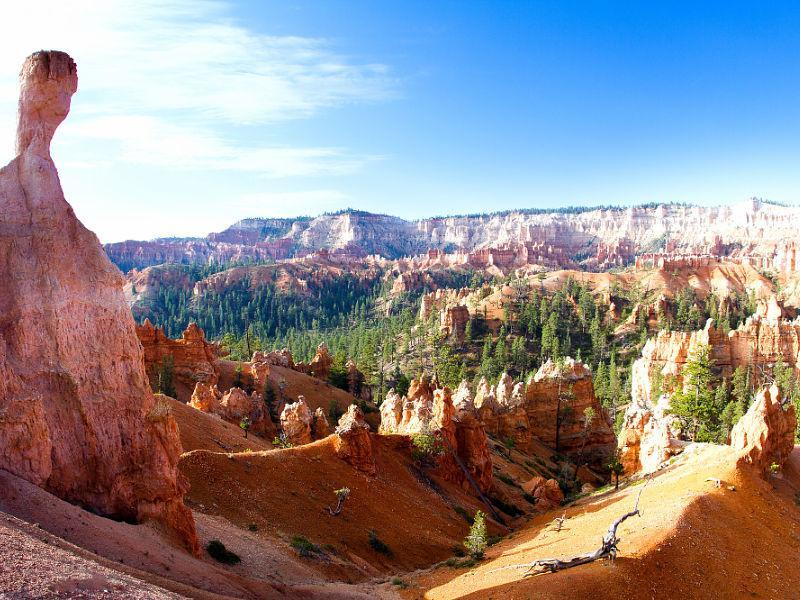 Bryce National Park 