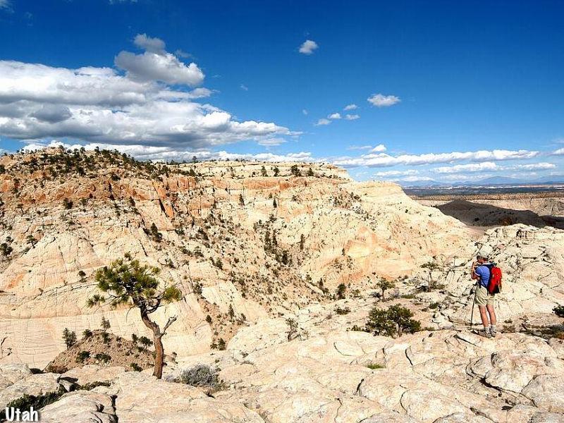 Grand Staircase Escalante