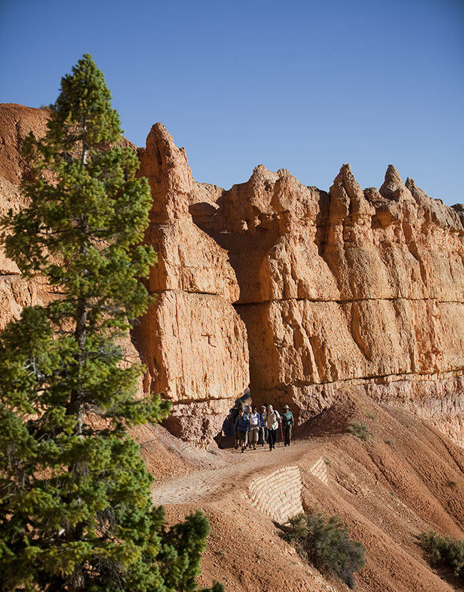 Bryce National Park