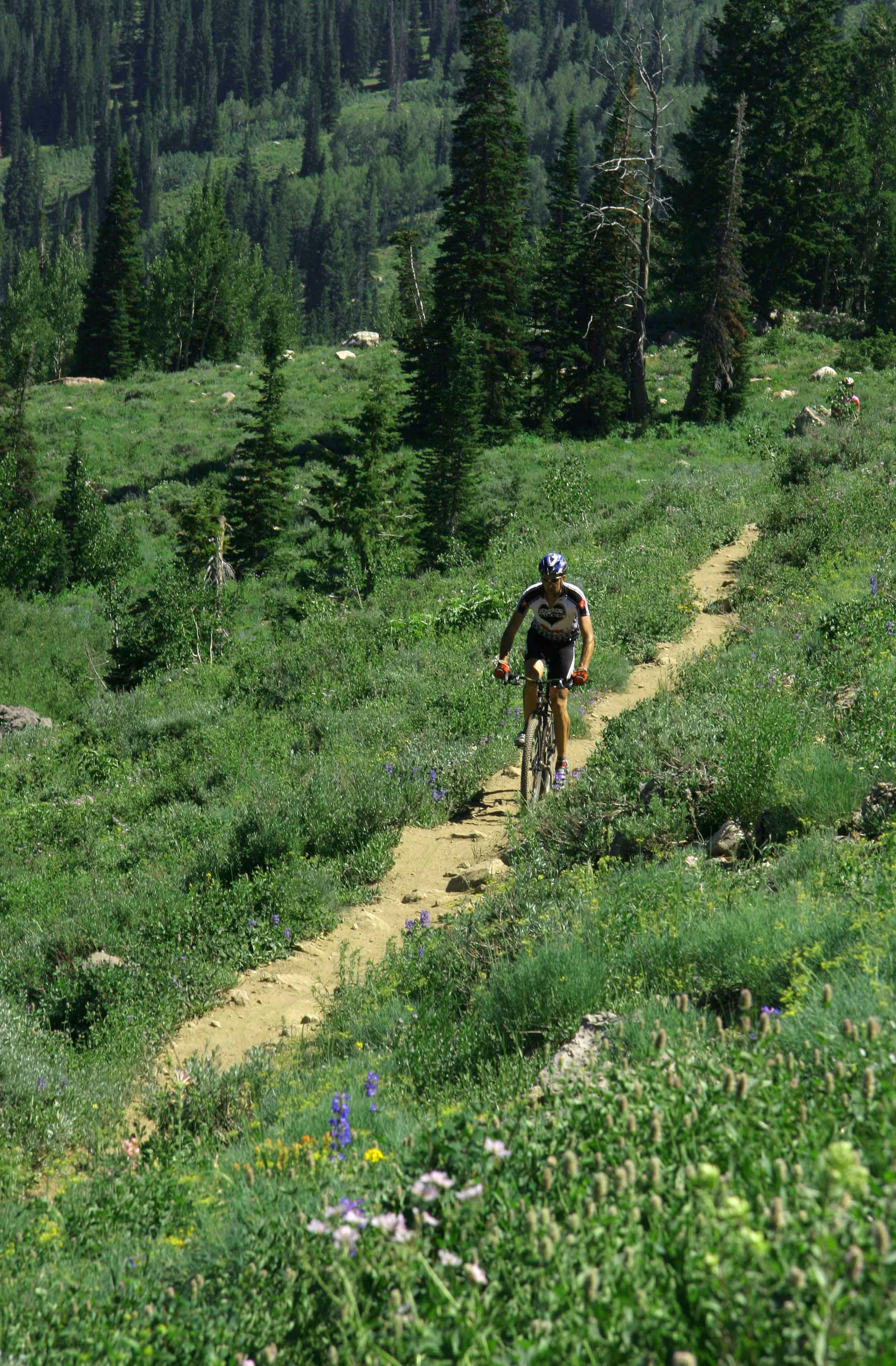 Logan-Canyon-728
