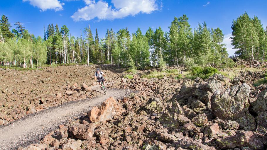 Navajo Lake Mountain Biking 