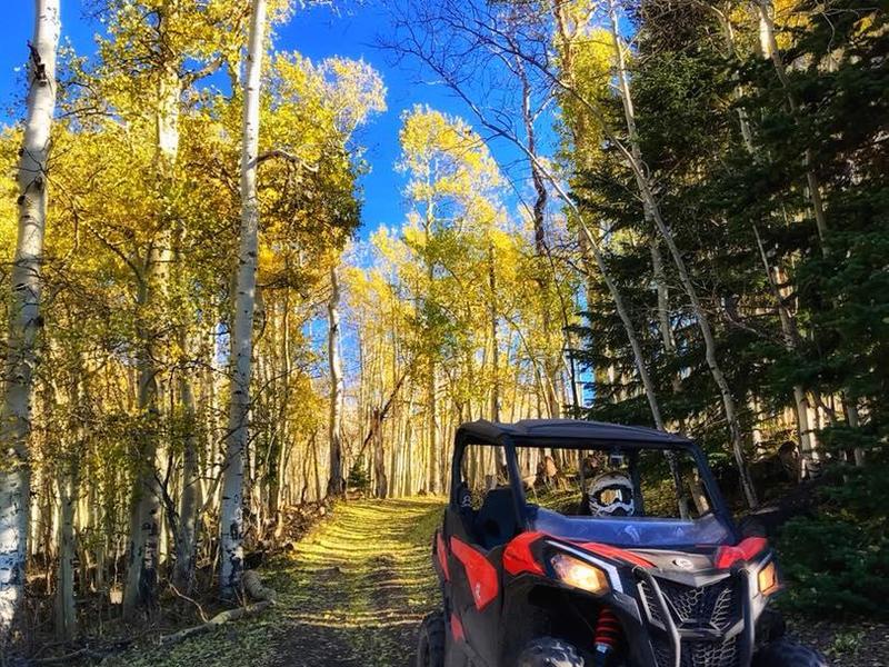 Paiute Trail