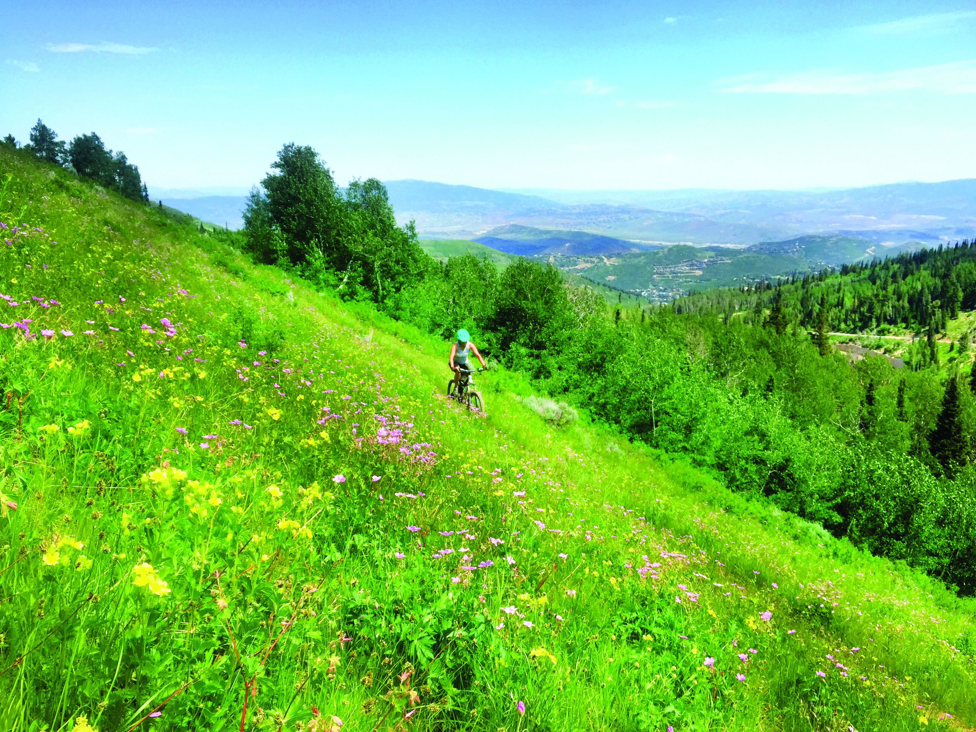 summerslopes