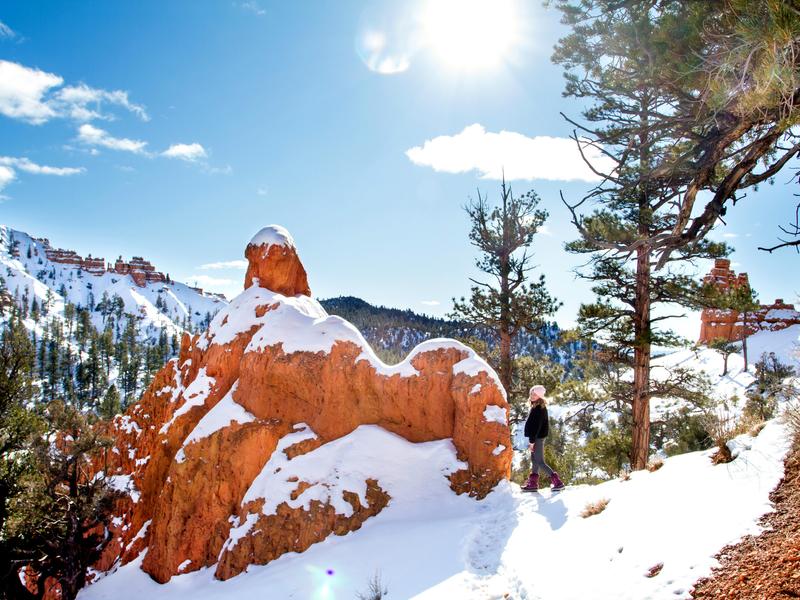 Hiking Red Canyon 