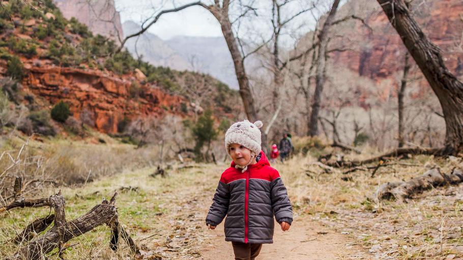 Zion National Park -1 