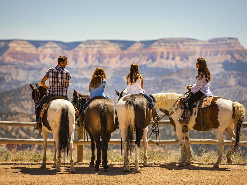 Horseback Riding Tours