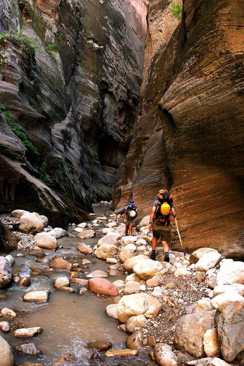 Zion_7284