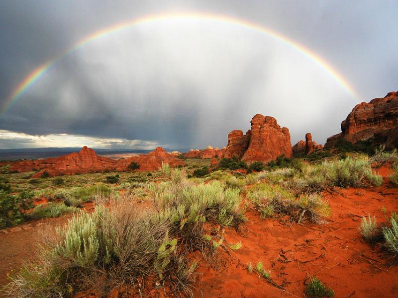 Post rain storm colors! 