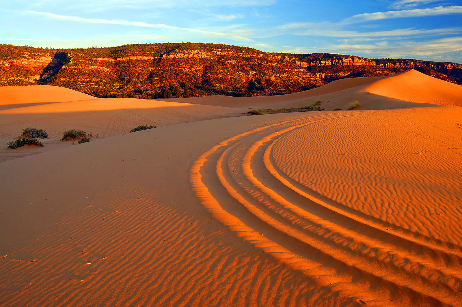 Coral Pink Sand Dunes State Park 