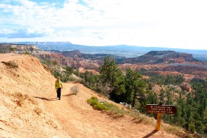 Bryce 1 -294
