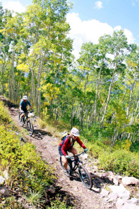 Mt-Biking-Crest-Trail