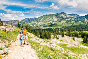 Albion Basin at Alta