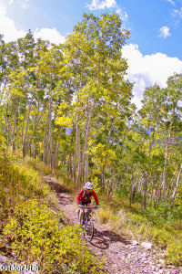 Crest Trail