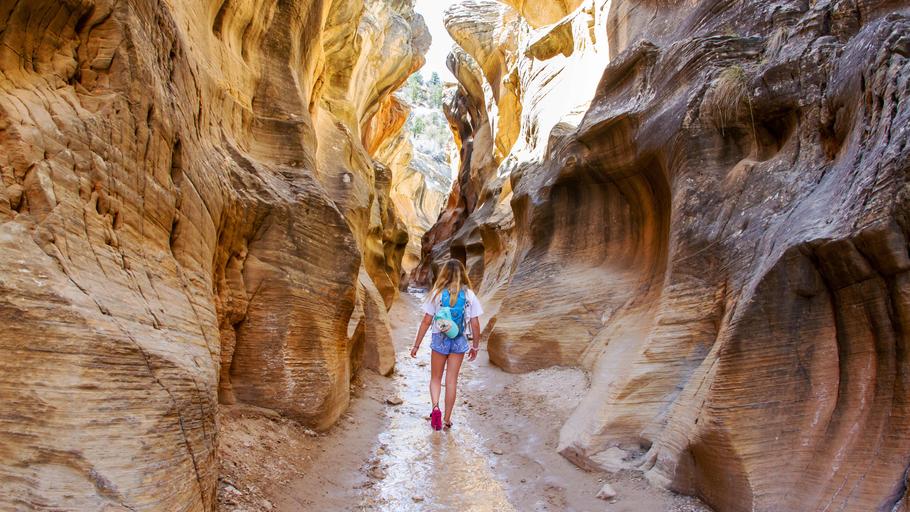 WILLIS CREEK 